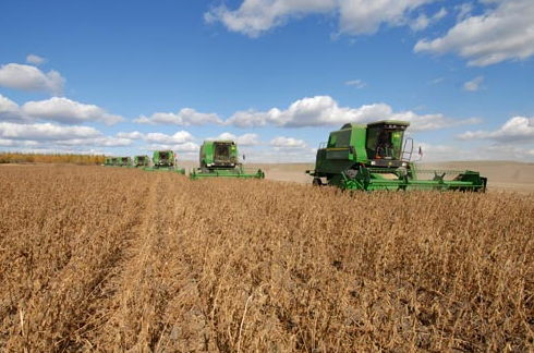 美國和巴西分別處于南北半球，種植和收獲時(shí)間不同，供應(yīng)有季節(jié)差，相互替代性較差