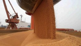 打大豆打飛機(jī)”，能讓美國在貿(mào)易戰(zhàn)中讓步嗎？【重慶火鍋底料批發(fā)在哪】