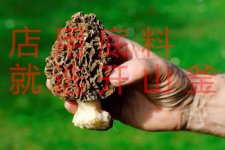 菜品如何提升檔次？【重慶火鍋底料批發(fā)價(jià)格】