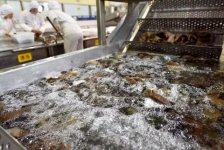 餐飲信息化行業(yè)競(jìng)爭(zhēng)的趨勢(shì)必然是以運(yùn)營(yíng)與服務(wù)為核心，單純靠功能和產(chǎn)品其實(shí)是很難的