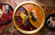 被合伙人坑了上百萬，他不服輸！變爛攤子為26家千平大店【重慶火鍋底料批發(fā)官網(wǎng)】