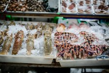 開業(yè)遇上疫情！從生意慘淡到日流水20多萬，一場“教科書式”逆襲【火鍋底料哪里有批發(fā)】