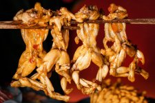 千億牛蛙賽道迎來細分熱，美蛙火鍋能否突圍而出？