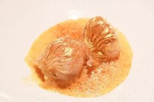 對(duì)話魏旭翔、林衛(wèi)輝：粵菜創(chuàng)新，步子還可以邁大一點(diǎn)